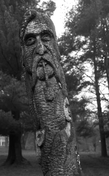 Vieille Figure Bois Dans Forêt — Photo