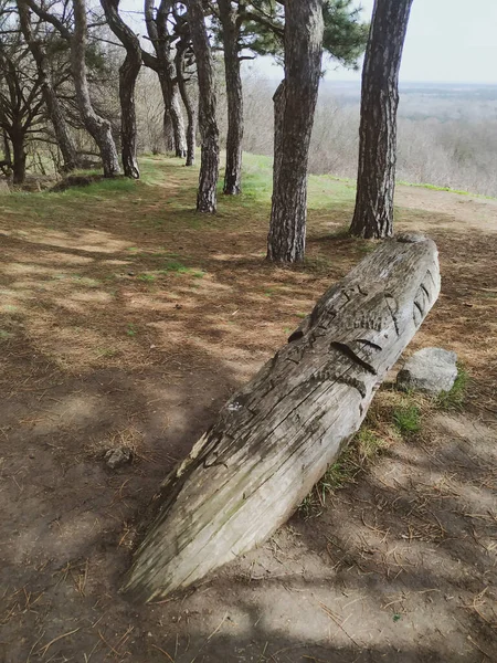 Старая Деревянная Фигура Лесу — стоковое фото