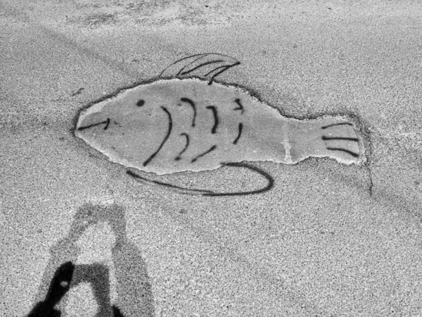 Closeup Shot Hand Drawn Fish Beach — Stock Photo, Image