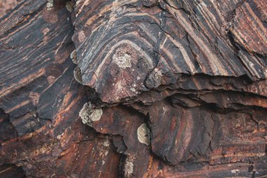 Sert granit taş dokusu arkaplanı