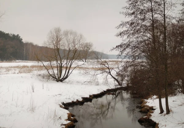 Bel Colpo Lago Nel Parco Invernale — Foto Stock