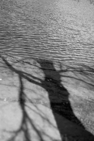 Schöne Aussicht Auf Den Teich — Stockfoto