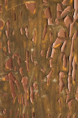 Metin için alanı olan soyut grunge arkaplanı