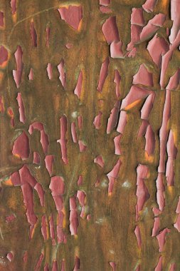 Metin için alanı olan soyut grunge arkaplanı