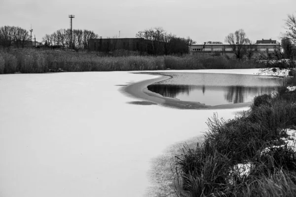 Piękne Ujęcie Jeziora Zimowym Parku — Zdjęcie stockowe