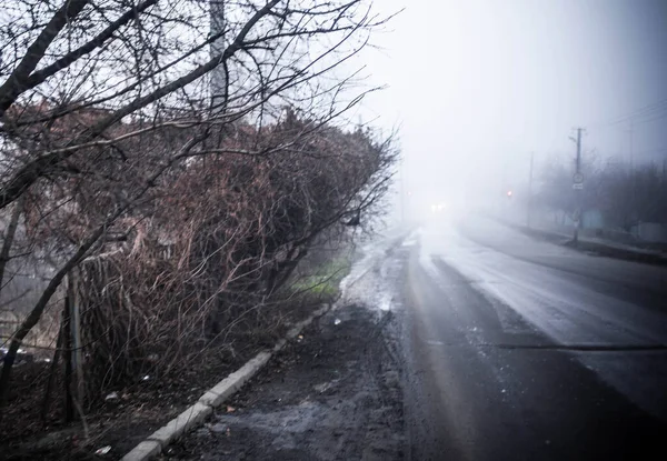 Strada Nel Parco Cittadino — Foto Stock