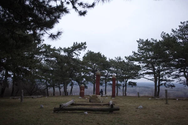 Vecchie Figure Legno Nel Bosco — Foto Stock