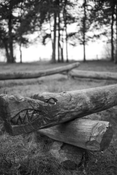 Viejas Figuras Madera Bosque — Foto de Stock