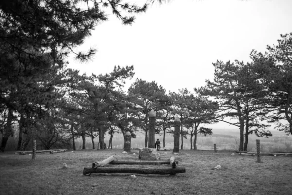 Παλιές Ξύλινες Φιγούρες Στο Δάσος — Φωτογραφία Αρχείου