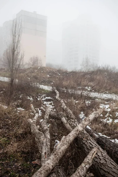 Старые Здания Городской Улице — стоковое фото