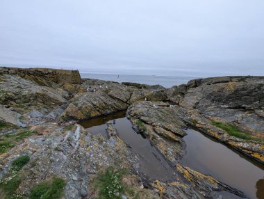 Martılar, yosunlu kayalıklarda, dalgaların kıyılarında, gri bir gökyüzünün altında, okyanus uzaktayken dinlenirler..