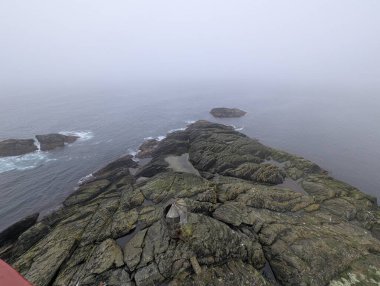 Martılar, dalgaların yakınındaki yosunlu kayalıklarda, engebeli bir kıyı şeridi boyunca gri bir gökyüzünün altında, okyanus mesafesinde dinlenirler..