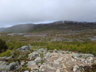 Küçük gölleri ve bulutlu gökyüzünün altında yeşil çalıları olan kayalık vadinin geniş manzarası..