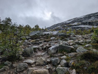 Dağlık arazide, gri taşlar ve bulutlu gökyüzünün altında yeşil çalılar eşliğinde Rocky yürüyüş yolu..