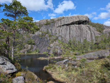 Küçük gölü ve mavi gökyüzünün altındaki yeşil ağaçlarıyla Rocky Dağı manzarası.