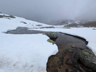 Görkemli Rocky Dağları uçsuz bucaksız, gri ve genellikle sisli bir gökyüzünün altında dururdu.