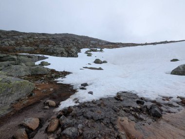 Eriyen buzlarla ve bulutlu gökyüzünün altındaki kayalık araziyle karlı dağ manzarası.