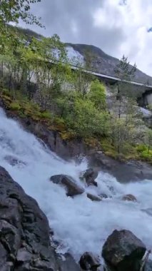 Canlı beyaz şelale, yüksek kayalıklardan hızlı akan nehre, yemyeşil çam ağaçları ve mavi gökyüzünün altındaki yosunlu kayalarla çevrili.