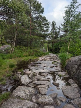 Pürüzlü taş patika sarp bir dağ yamacına döner kalın beyaz sislerin arasından birkaç küçük, seyrek ağacın yanından geçer.