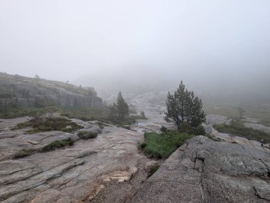 Yüksek Tatra dağlarının tepelerinde sis var..