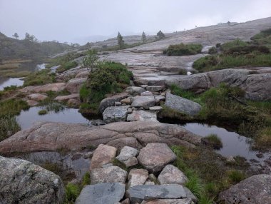 Rough stone path winds up through a rocky mountain landscape with sparse trees under a thick white mist.