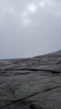 Yoğun, tekdüze, gri bir sis tabakası ya da yoğun bir sis tabakası çerçeveyi tamamen doldurur, tüm kara ve gökyüzünü minimalist, atmosferik bir doğa görüntüsüyle gizler..
