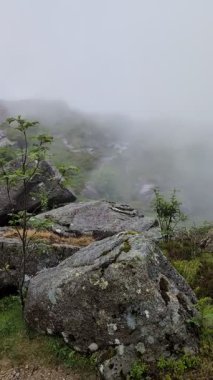 Yoğun, tekdüze, gri bir sis tabakası ya da yoğun bir sis tabakası çerçeveyi tamamen doldurur, tüm kara ve gökyüzünü minimalist, atmosferik bir doğa görüntüsüyle gizler..