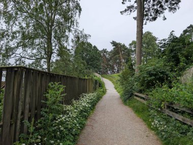 Kırsal bir ahşap çitle çevrili huzurlu bir çakıl yolu ve çiçek açan kır çiçekleri bulutlu bir gökyüzü altında uzun, yapraklı ağaçlarla kaplı yumuşak çimenli bir tepeye doğru yol alır..