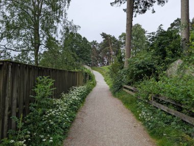 Kırsal bir ahşap çitle çevrili huzurlu bir çakıl yolu ve çiçek açan kır çiçekleri bulutlu bir gökyüzü altında uzun, yapraklı ağaçlarla kaplı yumuşak çimenli bir tepeye doğru yol alır..