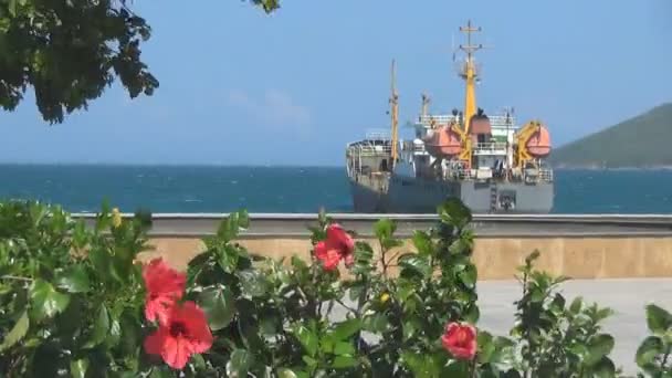 Durante as ondas desfraldar um grande navio. Está ancorado. arbusto com grandes flores vermelhas oscila no vento . — Vídeo de Stock