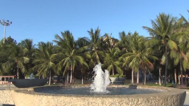 Fuente burbujeando. hermoso paisaje con una fuente. fuente en tazón de piedra . — Vídeo de stock