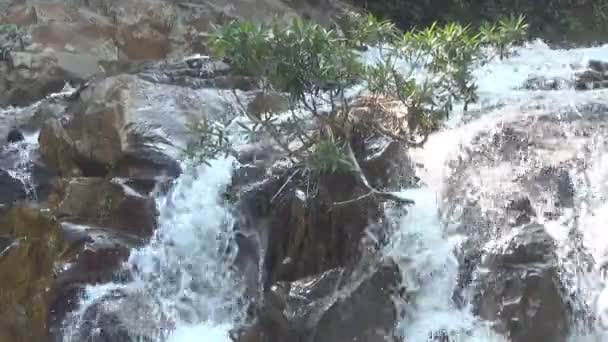 Yang Bay wodospad, Wietnam. Woda płynie z góry w dół — Wideo stockowe