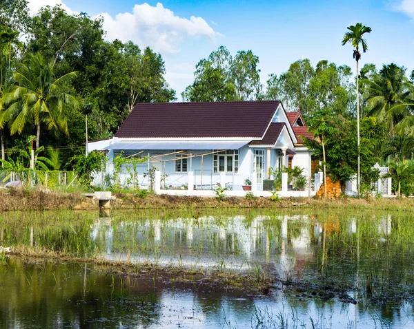 Village vietnamien. maison solitaire se dresse sur la rive du lac . — Photo