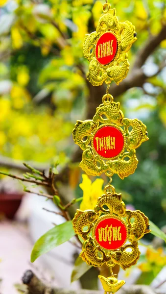 Geleneksel Vietnam yılbaşı çiçekleri — Stok fotoğraf
