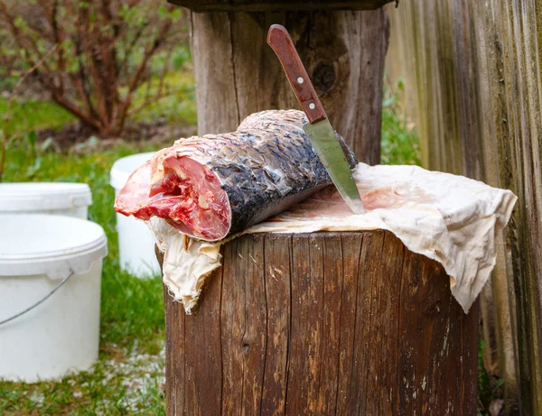 Fish on stump is cut with sharp knife. carp sea — Stock Photo, Image