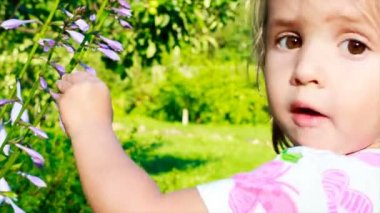 bir çiçek ile oynama ve kameraya arıyorum kız. bir çocuğun büyük gözleri.