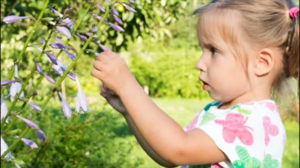 Menina brincando com uma flor e olhando para a câmera. olhos grandes de uma criança . — Vídeo de Stock