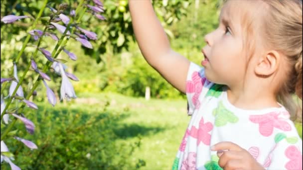 Flicka leker med en blomma och tittar på kameran. ett barns stora ögon. — Stockvideo