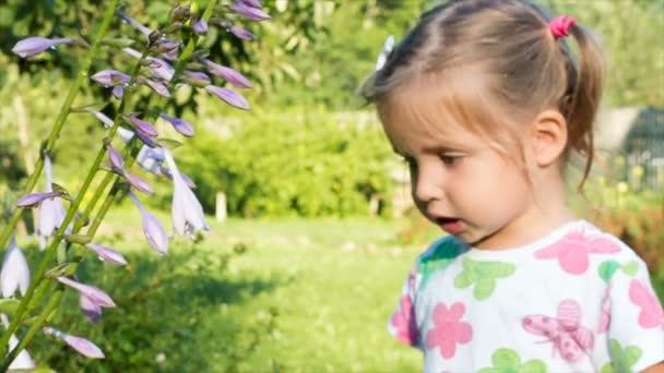 Chica jugando con una flor y mirando a la cámara. ojos grandes de un niño . — Vídeo de stock
