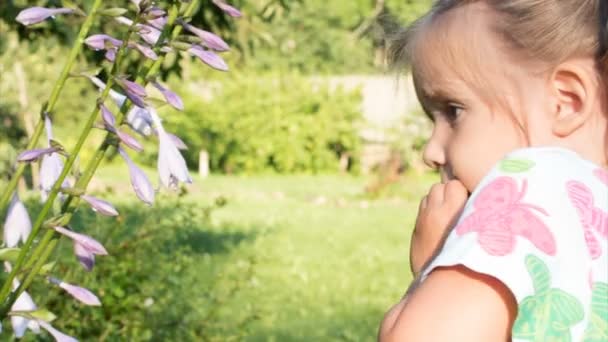 Flicka leker med en blomma och tittar på kameran. ett barns stora ögon. — Stockvideo