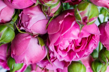 güzel pembe peonies buket, güller yeşil yaprakları ile ahşap bir masaya yalan.