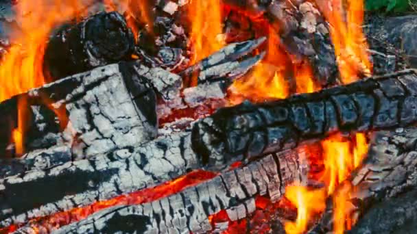 Un feu de joie. bûches fumantes brûlantes braises — Video