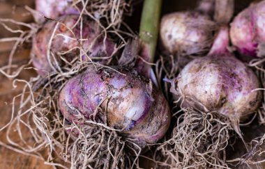 Sarımsak ampuller ve ahşap arka plan üzerinde karanfil