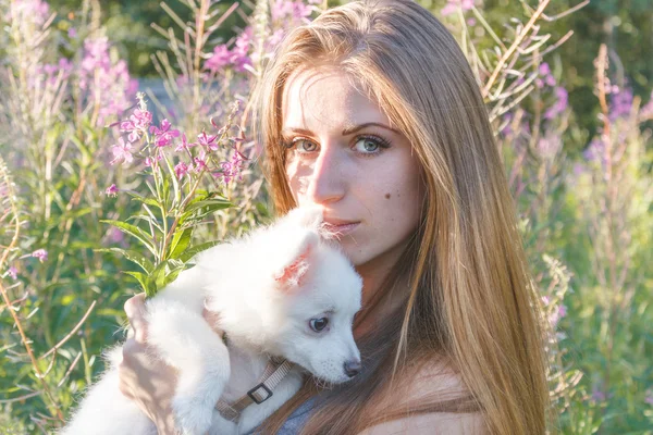 Bella ragazza baci e abbracci bianco soffice cane in un parco. tramonto. spitz — Foto Stock