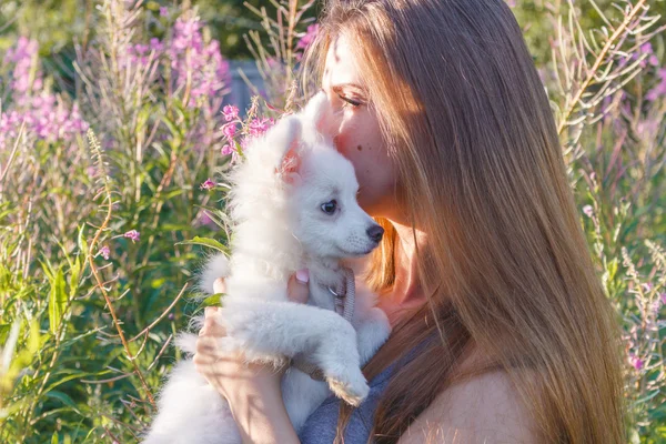 Belle fille embrasse et étreint chien moelleux blanc dans un parc. Coucher de soleil. spitz — Photo