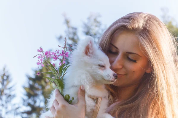 Belle fille embrasse et étreint chien moelleux blanc dans un parc. Coucher de soleil. spitz — Photo