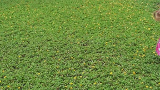 Trochę piękna dziewczyna z warkoczykami strój w jasnym spacery na zielony trawnik z żółtych kwiatów. — Wideo stockowe