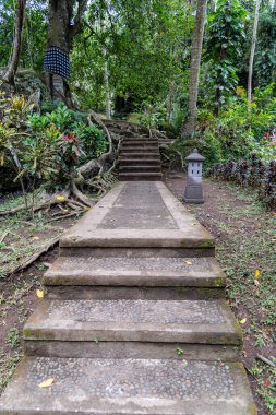 Goa Gajah Sığınak Ubud, Bali, Endonezya 'da birçok adım
