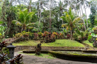 Su Zambağı Goa Gajah Sığınak Ubud, Bali, Endonezya