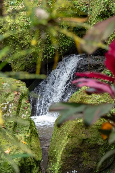 Sanktuarium Goa Gajah Rain Forrest Ubud Bali Indonezja — Zdjęcie stockowe